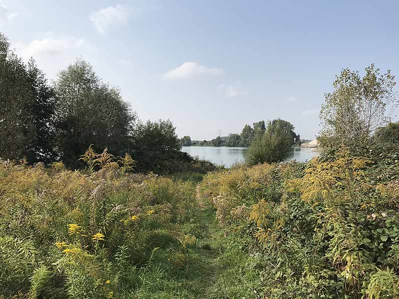 Erlache (Bensheim, Hessen)