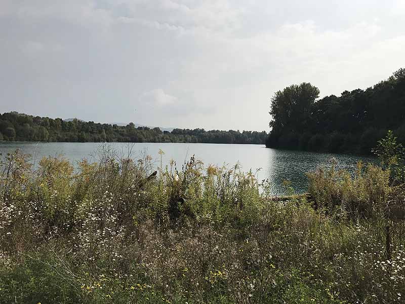 Erlache (Bensheim, Hessen)
