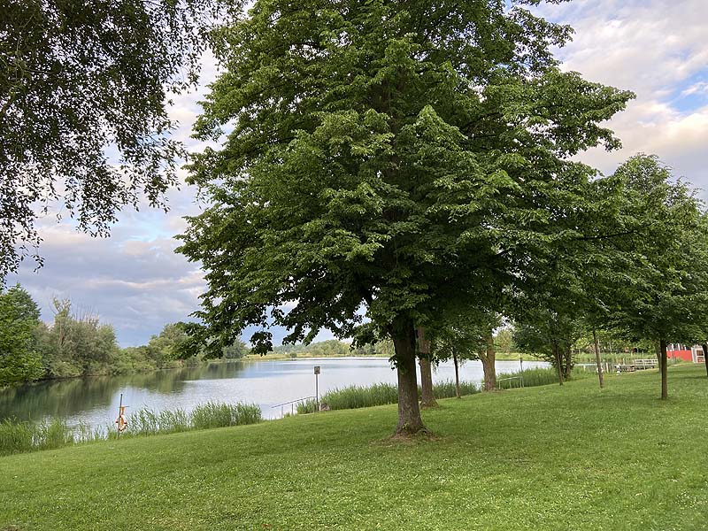 Der Badesee Erländersee in Hügelsheim in Baden-Württemberg