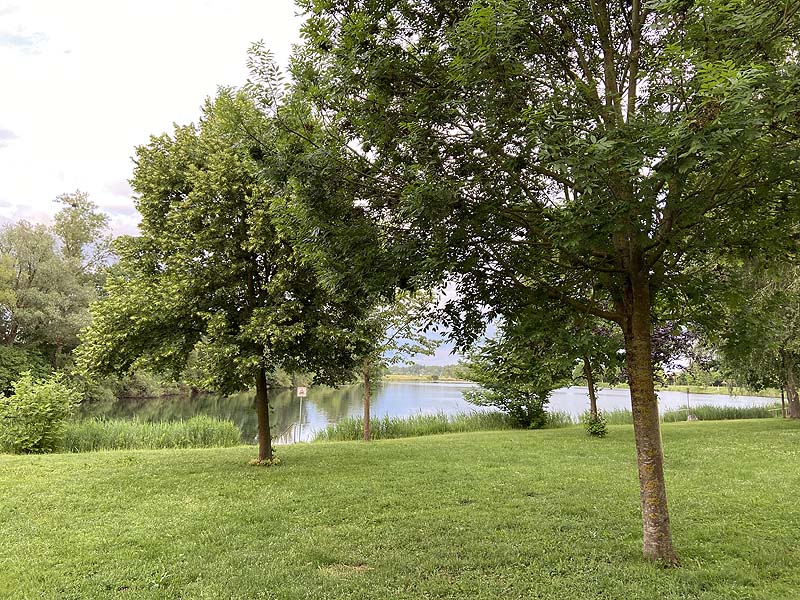 Der Badesee Erländersee in Hügelsheim in Baden-Württemberg