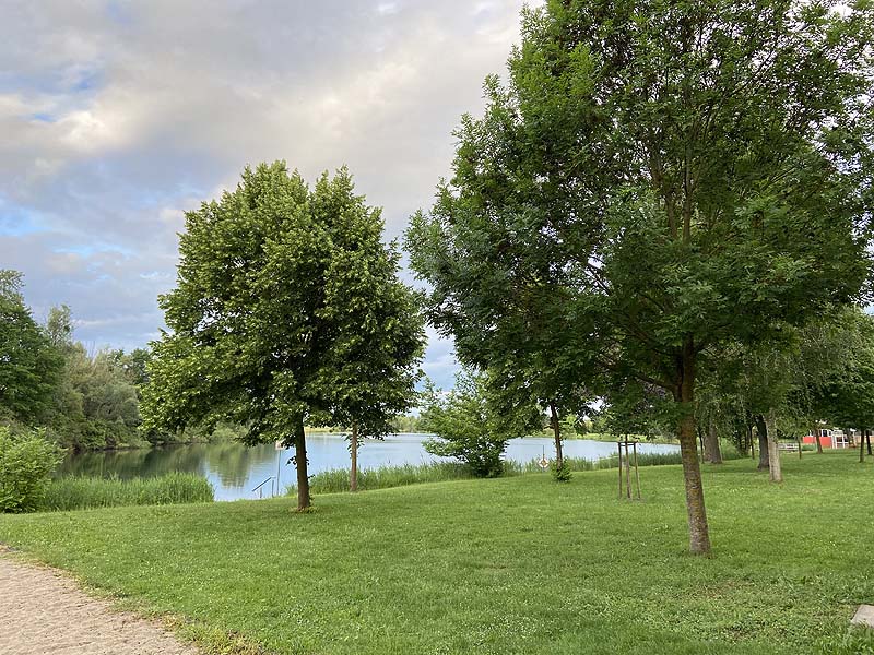 Der Badesee Erländersee in Hügelsheim in Baden-Württemberg