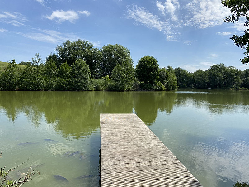 Der Badesee Erlensee in Taufkirchen (Vils)