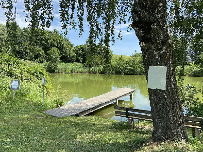 Der Badesee Erlensee in Taufkirchen (Vils)