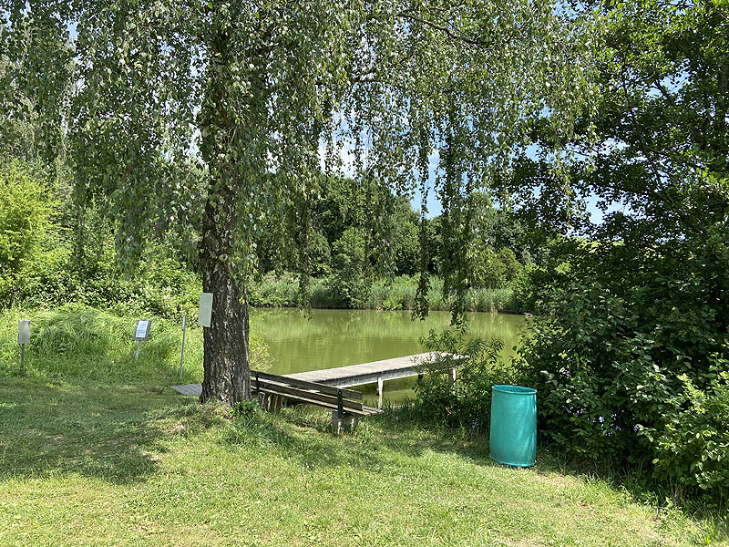 Der Badesee Erlensee in Taufkirchen (Vils)