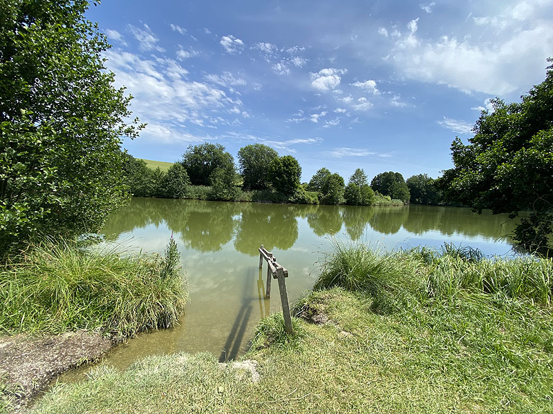 Der Badesee Erlensee in Taufkirchen (Vils)