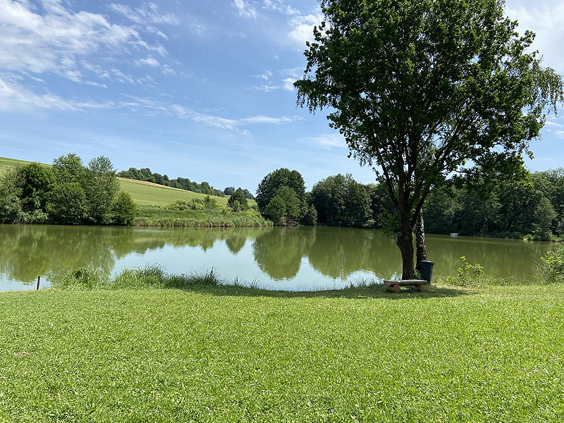 Der Badesee Erlensee in Taufkirchen (Vils)