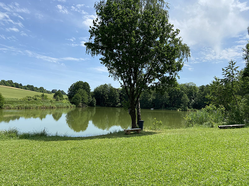 Der Badesee Erlensee in Taufkirchen (Vils)