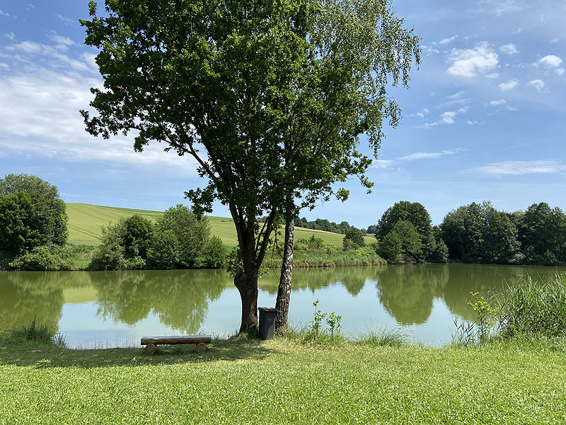 Der Badesee Erlensee in Taufkirchen (Vils)