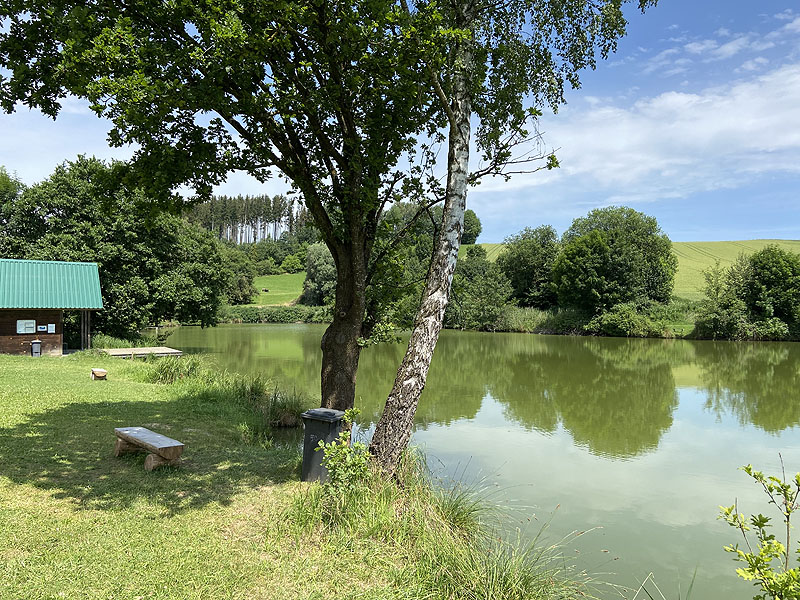 Der Badesee Erlensee in Taufkirchen (Vils)