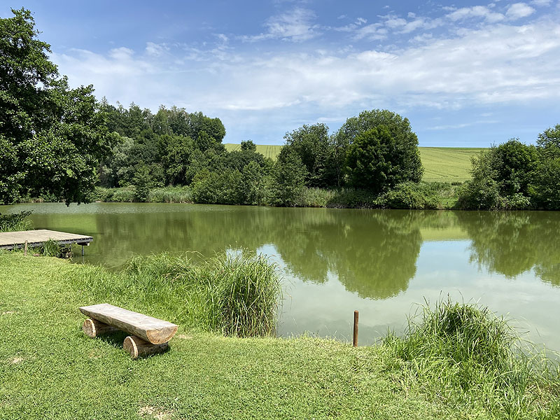 Der Badesee Erlensee in Taufkirchen (Vils)