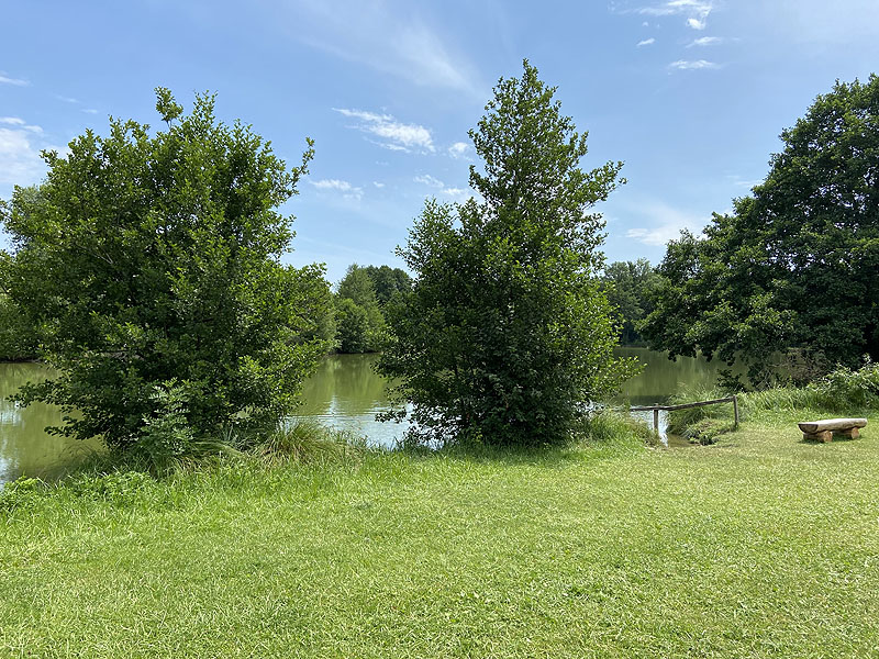 Der Badesee Erlensee in Taufkirchen (Vils)