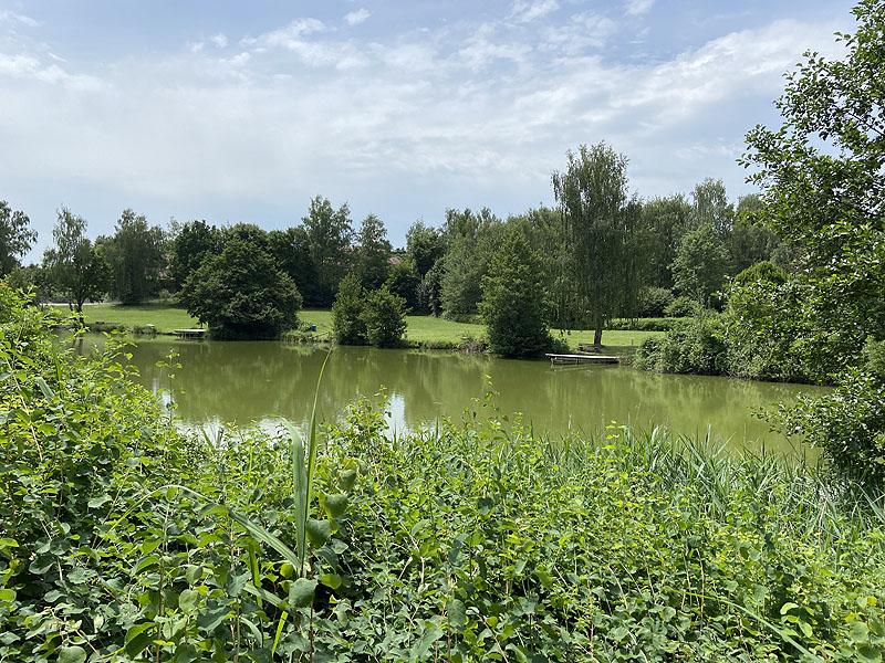 Der Badesee Erlensee in Taufkirchen (Vils)