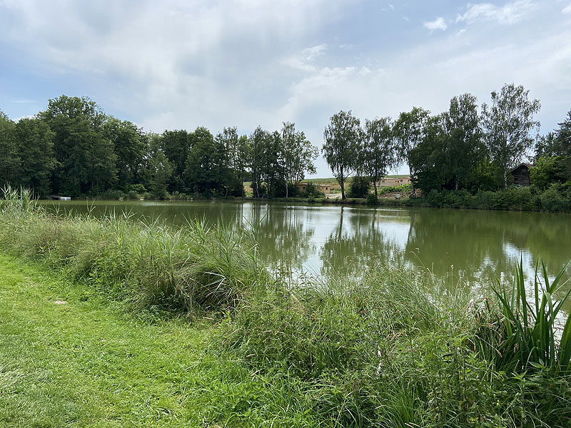 Der Badesee Erlensee in Taufkirchen (Vils)