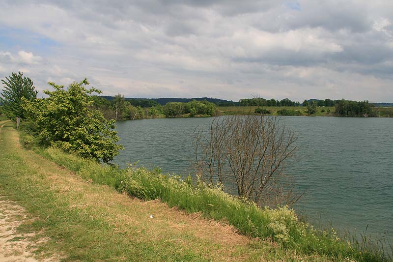 Esbacher See (Dörfles-Esbach, Bayern)