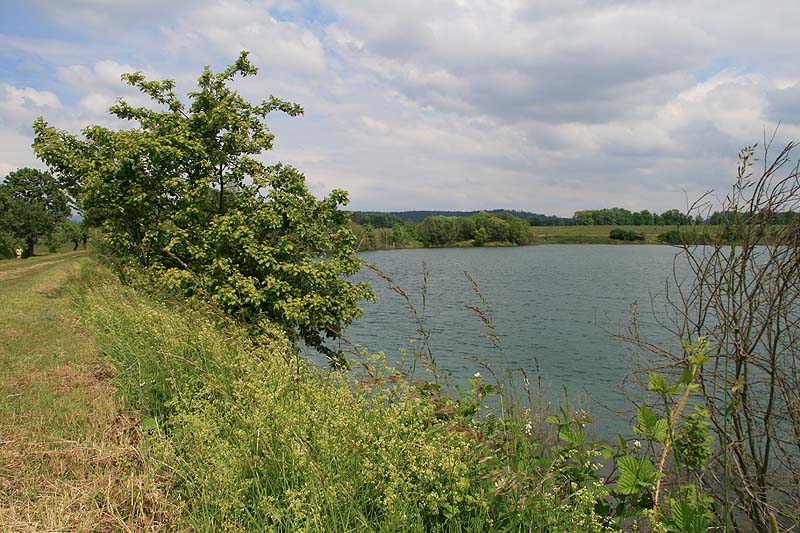 Esbacher See (Dörfles-Esbach, Bayern)