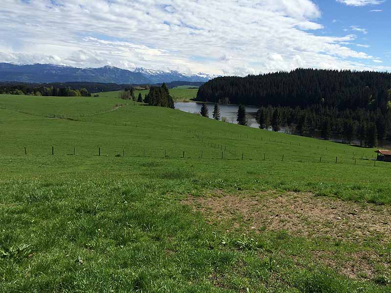 Eschacher Weiher (Kempten/Allgäu, Bayern)