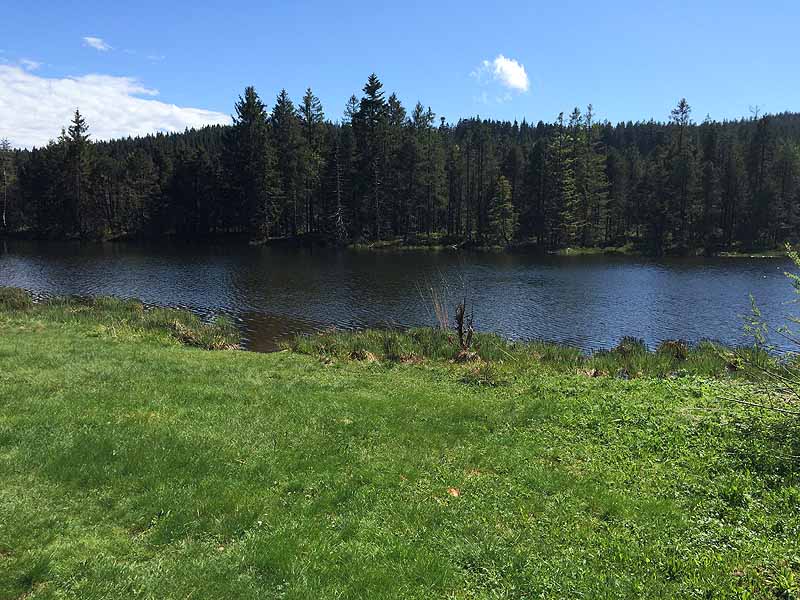 Eschacher Weiher (Kempten/Allgäu, Bayern)