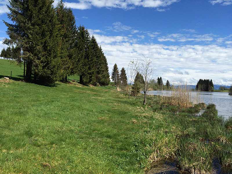 Eschacher Weiher (Kempten/Allgäu, Bayern)