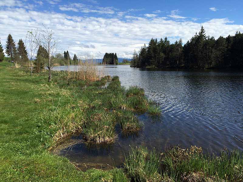 Eschacher Weiher (Kempten/Allgäu, Bayern)