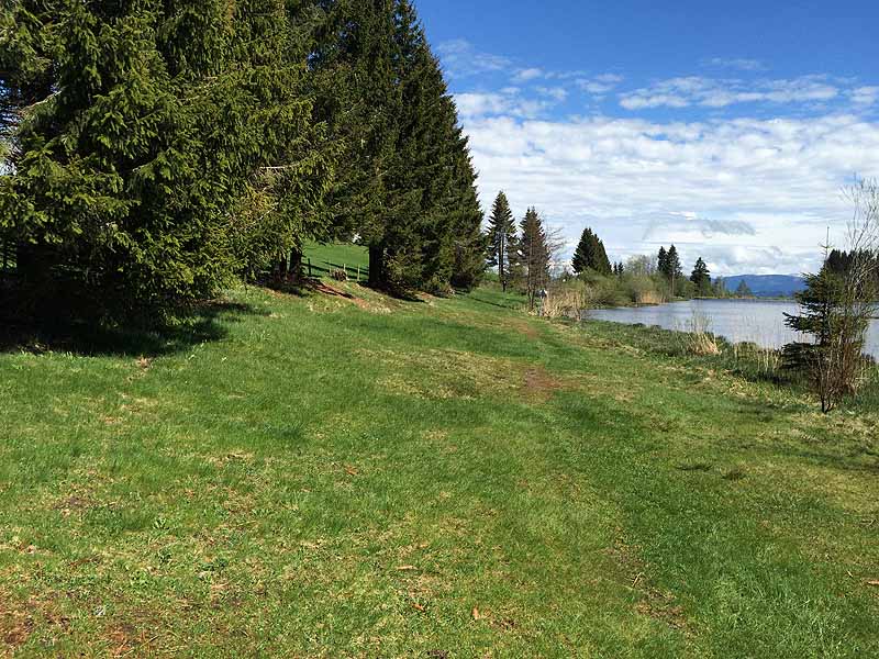 Eschacher Weiher (Kempten/Allgäu, Bayern)