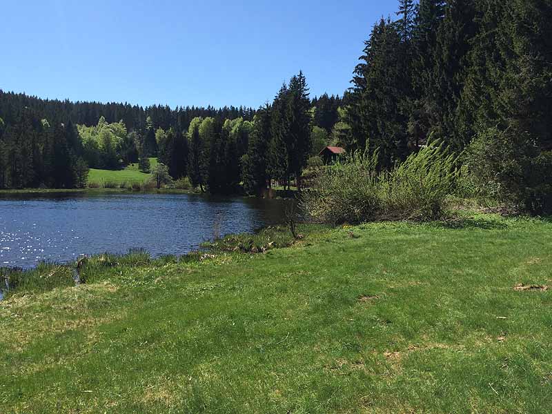 Eschacher Weiher (Kempten/Allgäu, Bayern)