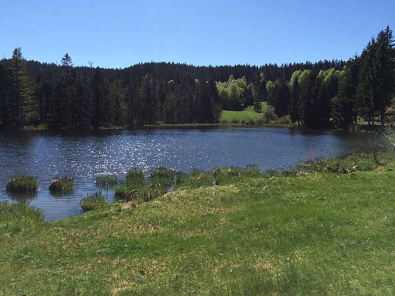 Eschacher Weiher (Kempten/Allgäu, Bayern)