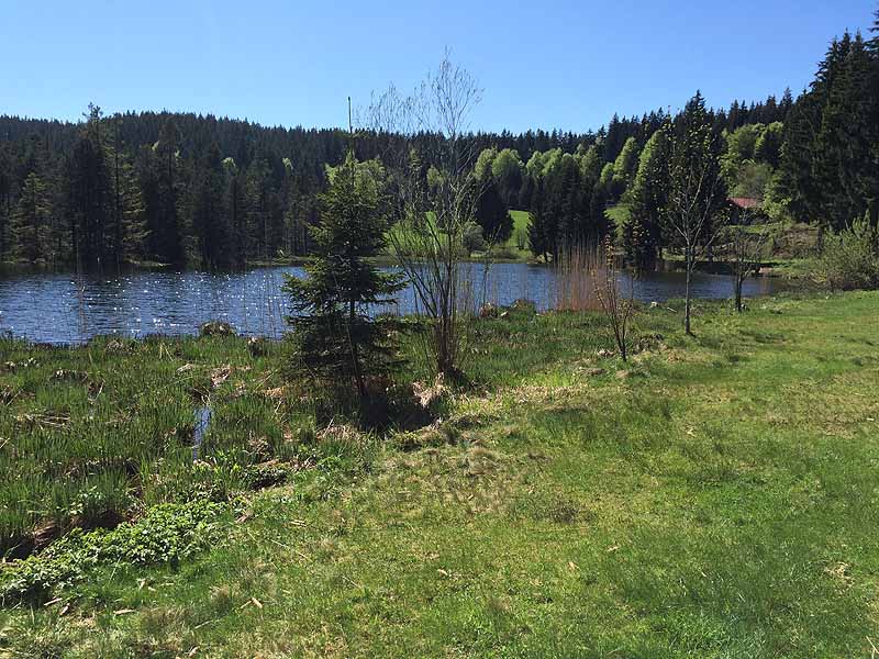 Eschacher Weiher (Kempten/Allgäu, Bayern)