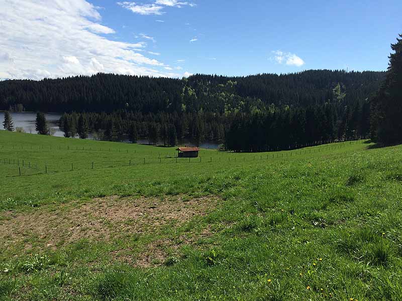 Eschacher Weiher (Kempten/Allgäu, Bayern)