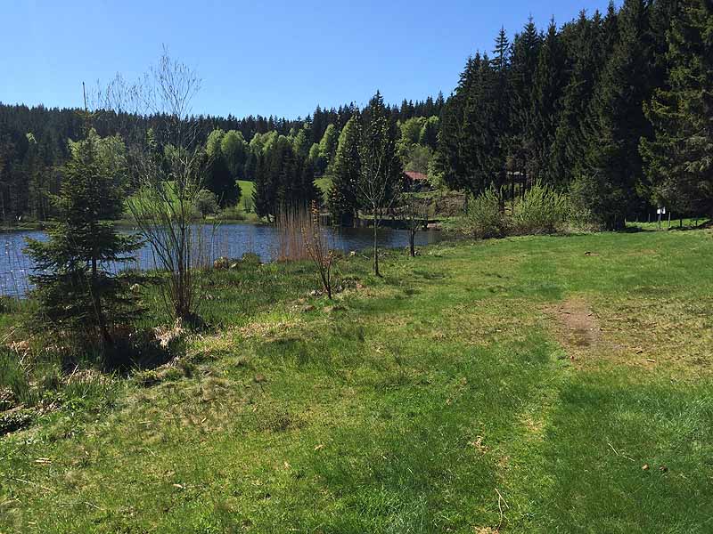 Eschacher Weiher (Kempten/Allgäu, Bayern)