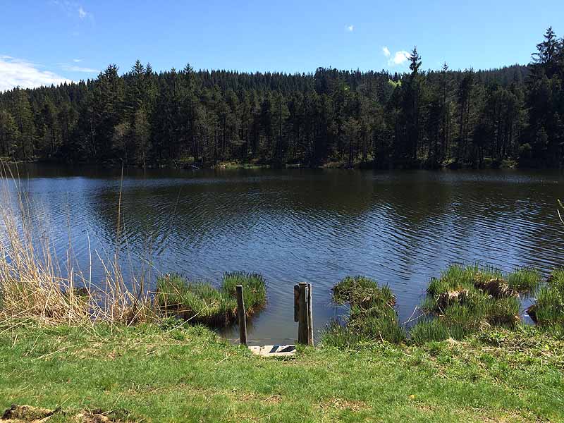 Eschacher Weiher (Kempten/Allgäu, Bayern)