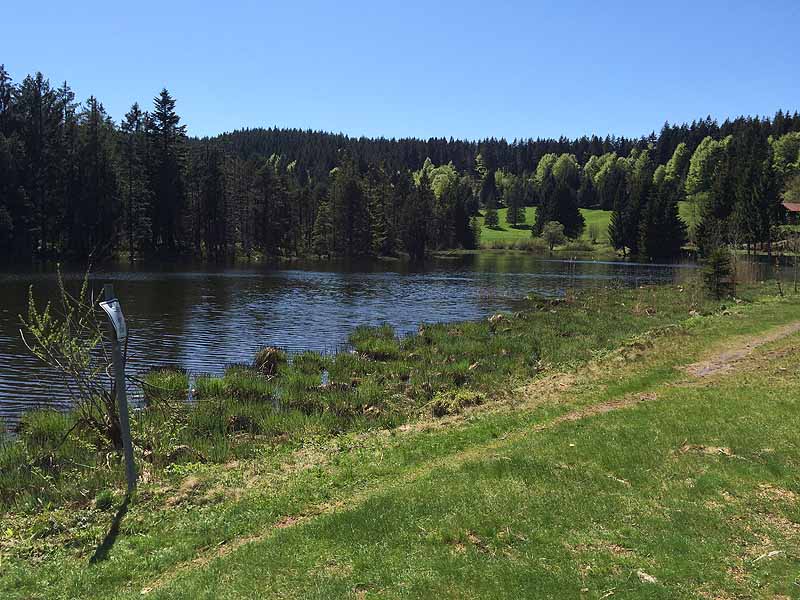 Eschacher Weiher (Kempten/Allgäu, Bayern)