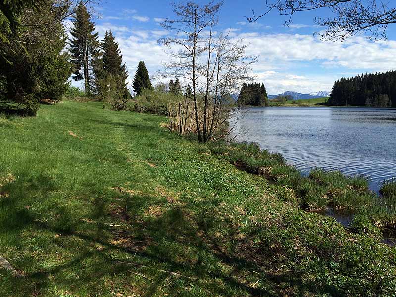 Eschacher Weiher (Kempten/Allgäu, Bayern)