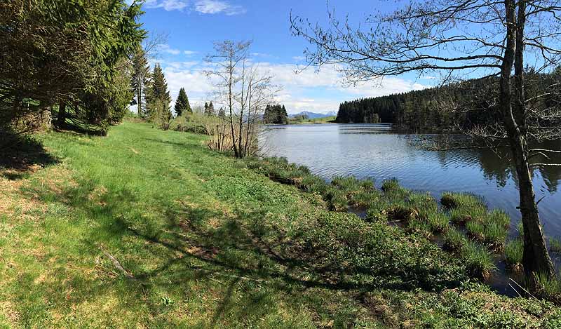 Eschacher Weiher (Kempten/Allgäu, Bayern)