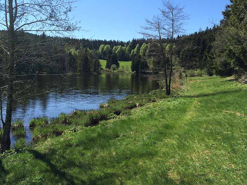 Eschacher Weiher (Kempten/Allgäu, Bayern)