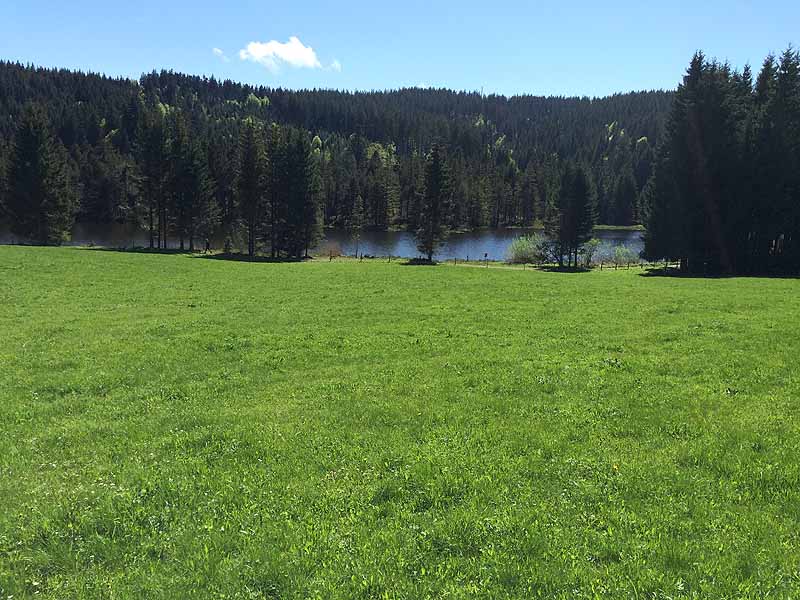 Eschacher Weiher (Kempten/Allgäu, Bayern)