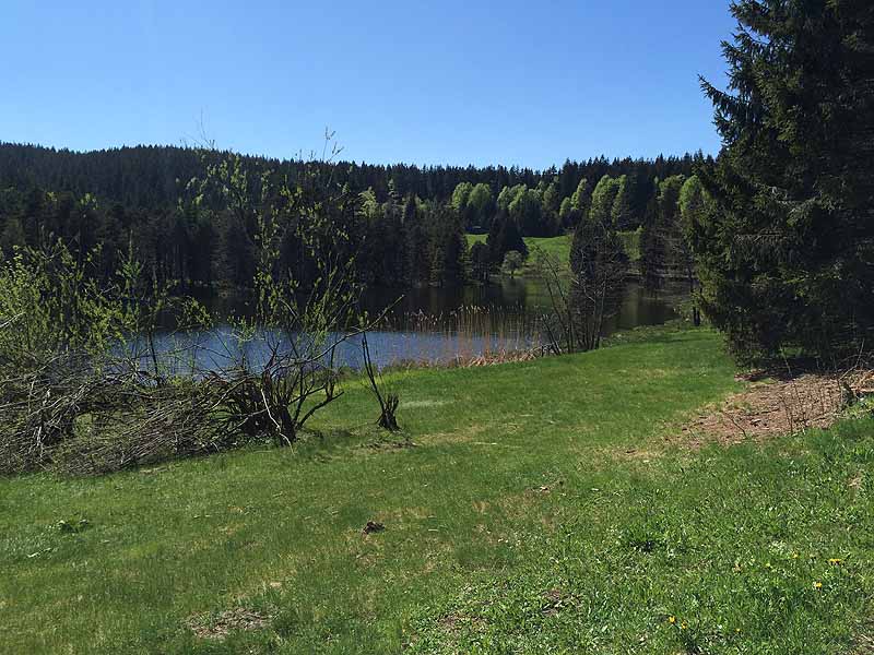 Eschacher Weiher (Kempten/Allgäu, Bayern)