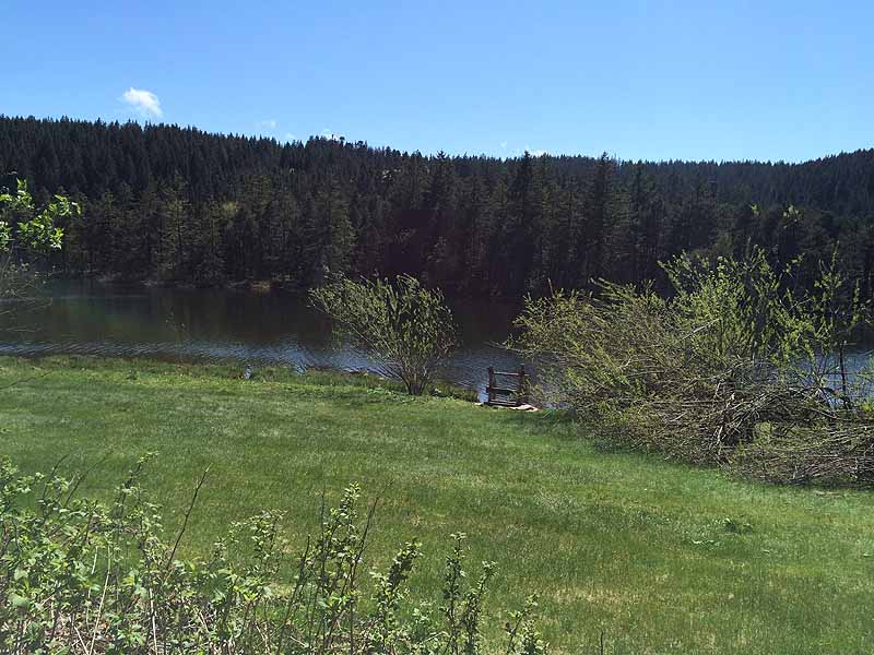 Eschacher Weiher (Kempten/Allgäu, Bayern)