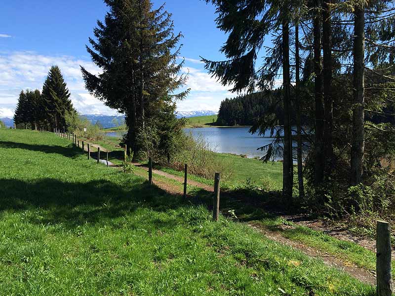 Eschacher Weiher (Kempten/Allgäu, Bayern)