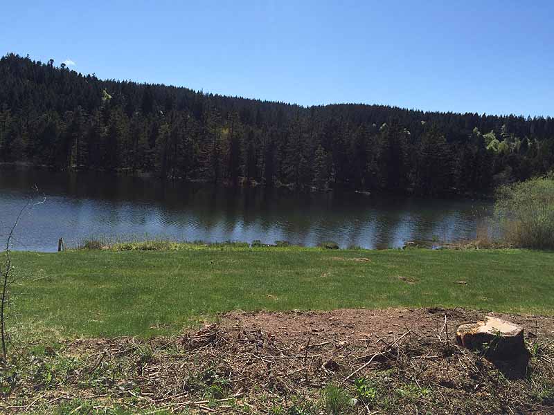 Eschacher Weiher (Kempten/Allgäu, Bayern)