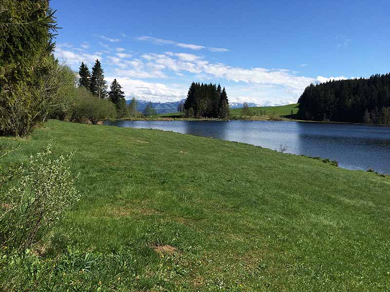 Eschacher Weiher (Kempten/Allgäu, Bayern)