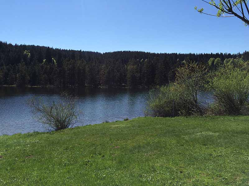 Eschacher Weiher (Kempten/Allgäu, Bayern)