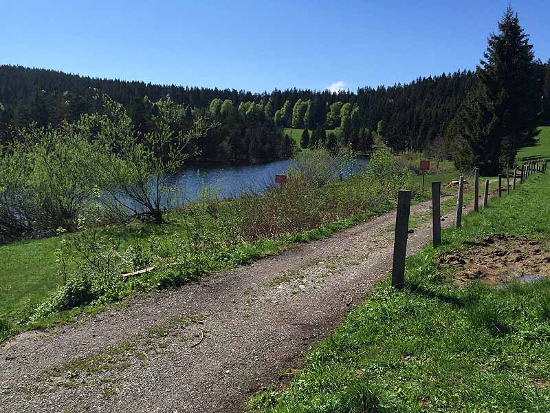 Eschacher Weiher (Kempten/Allgäu, Bayern)