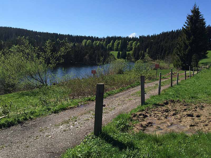 Eschacher Weiher (Kempten/Allgäu, Bayern)