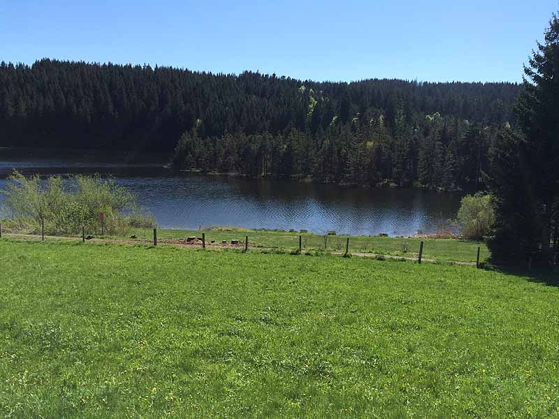 Eschacher Weiher (Kempten/Allgäu, Bayern)