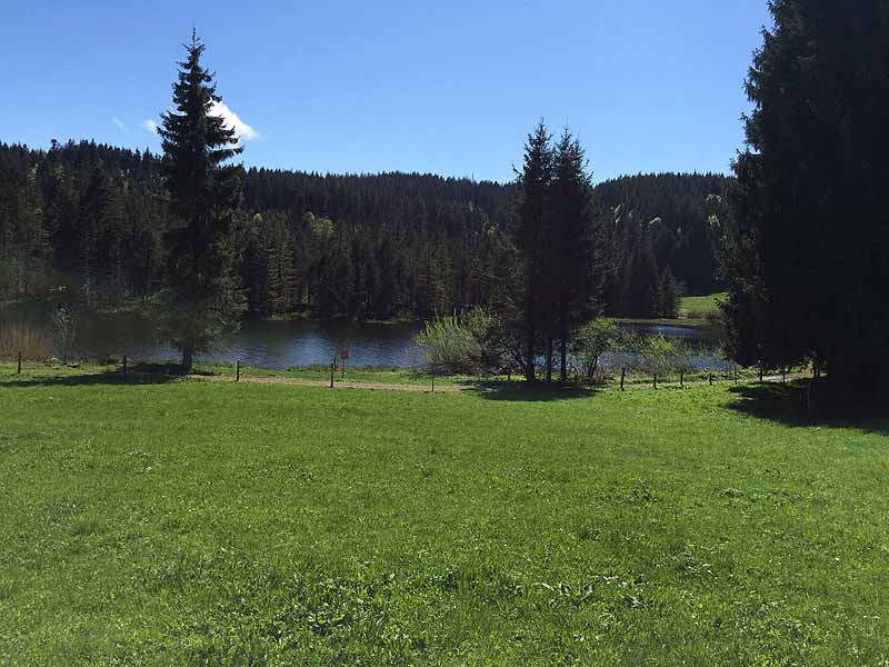 Eschacher Weiher (Kempten/Allgäu, Bayern)