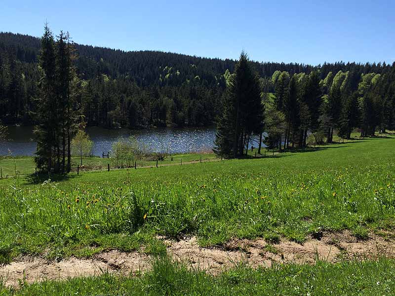 Eschacher Weiher (Kempten/Allgäu, Bayern)