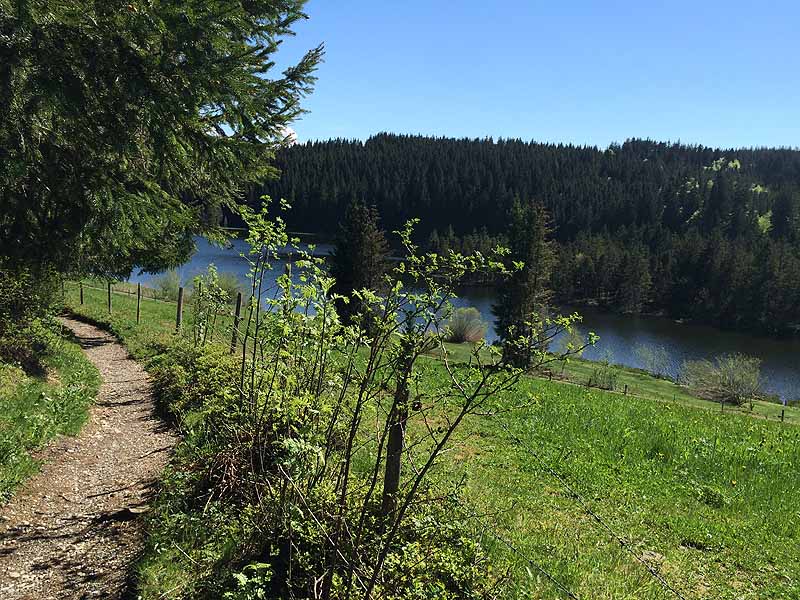 Eschacher Weiher (Kempten/Allgäu, Bayern)