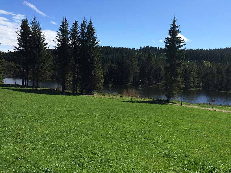 Eschacher Weiher (Kempten/Allgäu, Bayern)