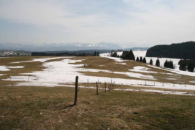 Eschacher Weiher (Kempten/Allgäu, Bayern)