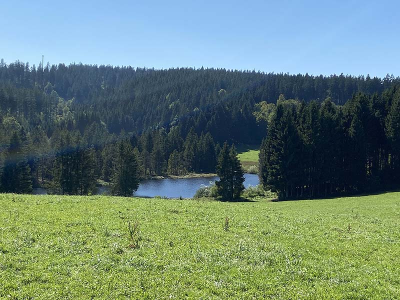 Der Badesee Eschacher Weiher in Buchenberg